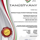 3616-01-09-Tanus_EMT_ISO 9001_2015_Magyar